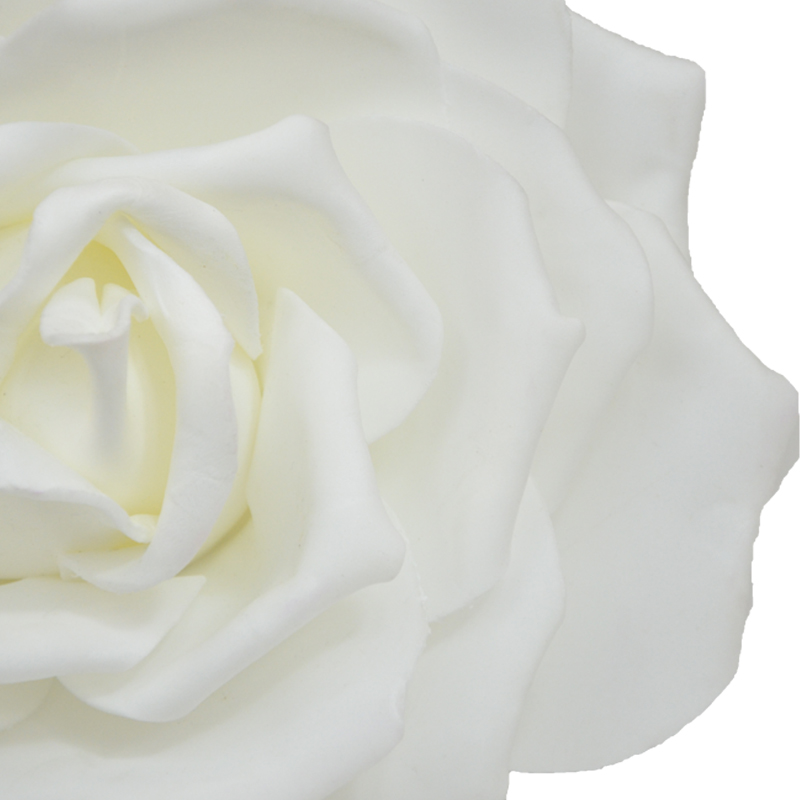 WHITE FOAM FLOWERS / RENTAL Step and Repeat LA