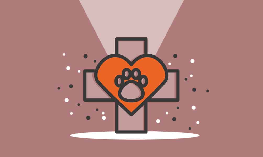 How to Start an Animal Rescue Business in 13 Easy Steps