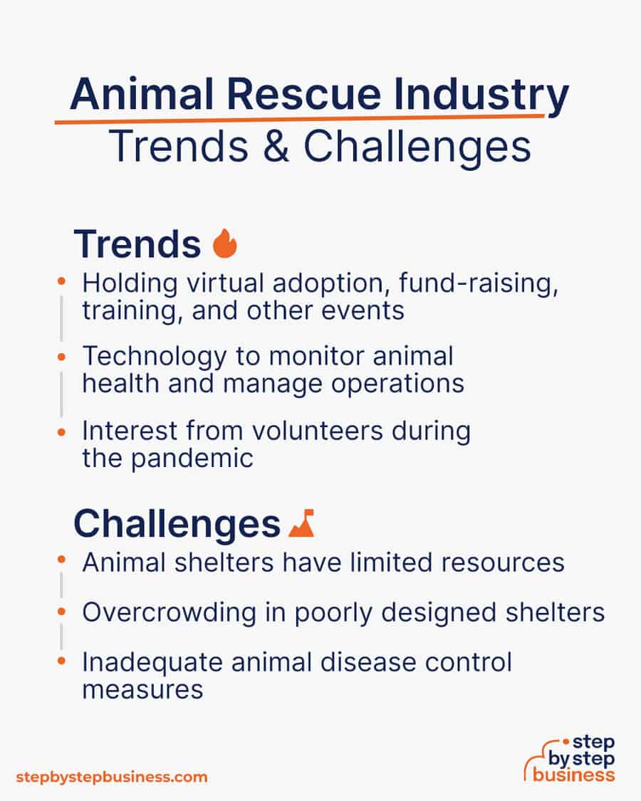 How to Start an Animal Rescue Business in 13 Easy Steps