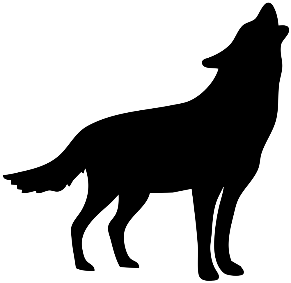 Wolf Painting Acrylic Online Tutorial