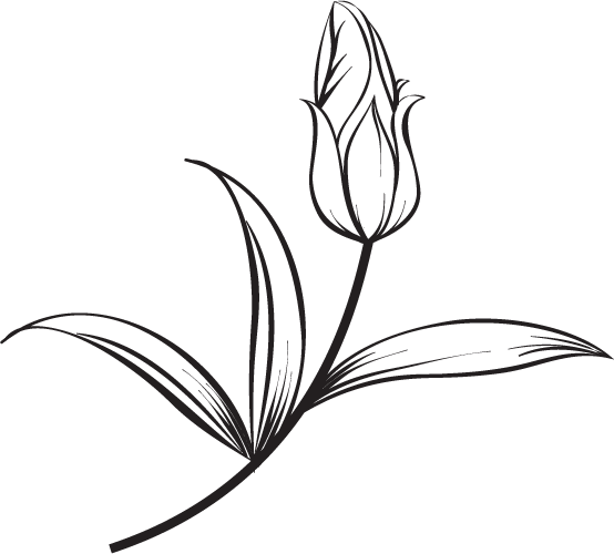 About Stephanie Garrett AIFD