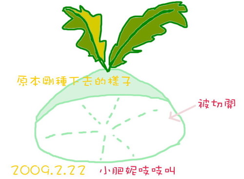 當菜頭尬上菜蟲