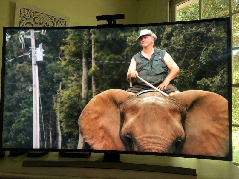 Does Myrtle Beach Safari Really Promote Conservation? Dr. Stephanie