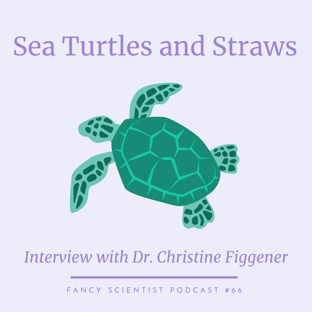 66 Sea Turtles and Straws with Christine Figgener Stephanie Manka