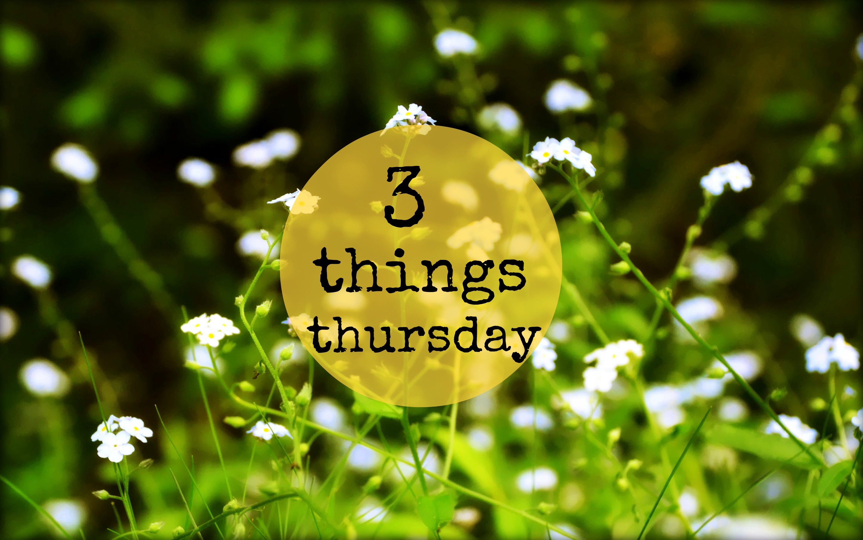 Three Things Thursday Stephany Writes