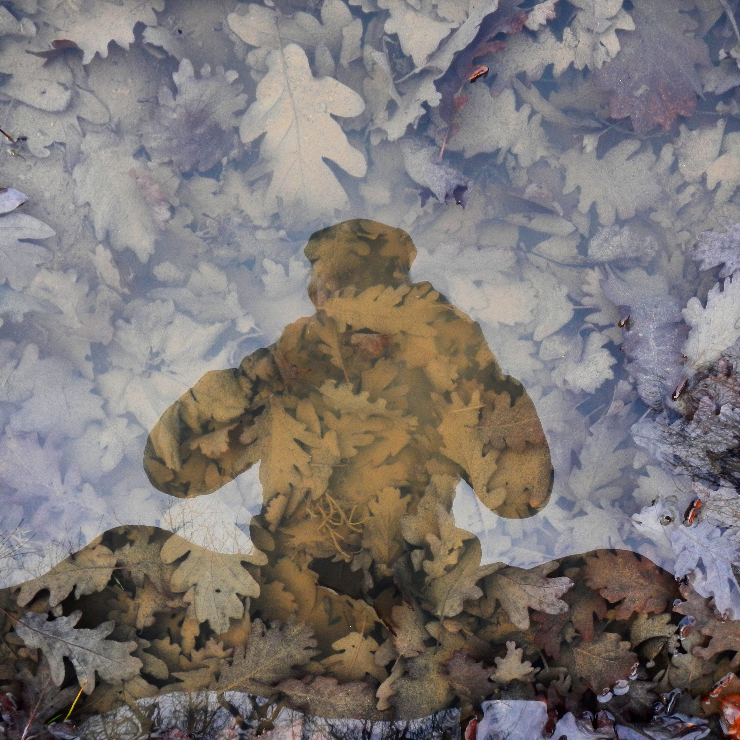 Photo Gallery Stephen Batchelor