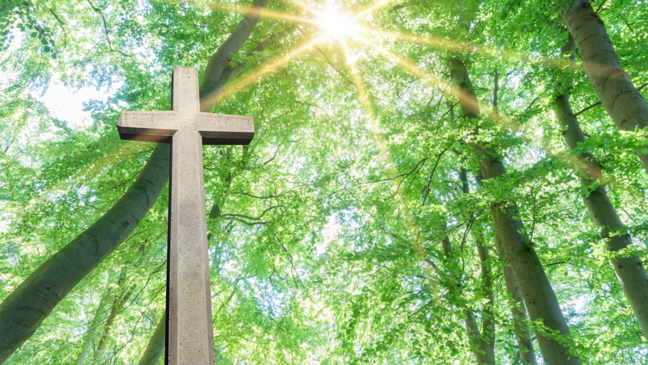 Remembering Ardith Hoffbeck Obituaries Stephens Funeral Service