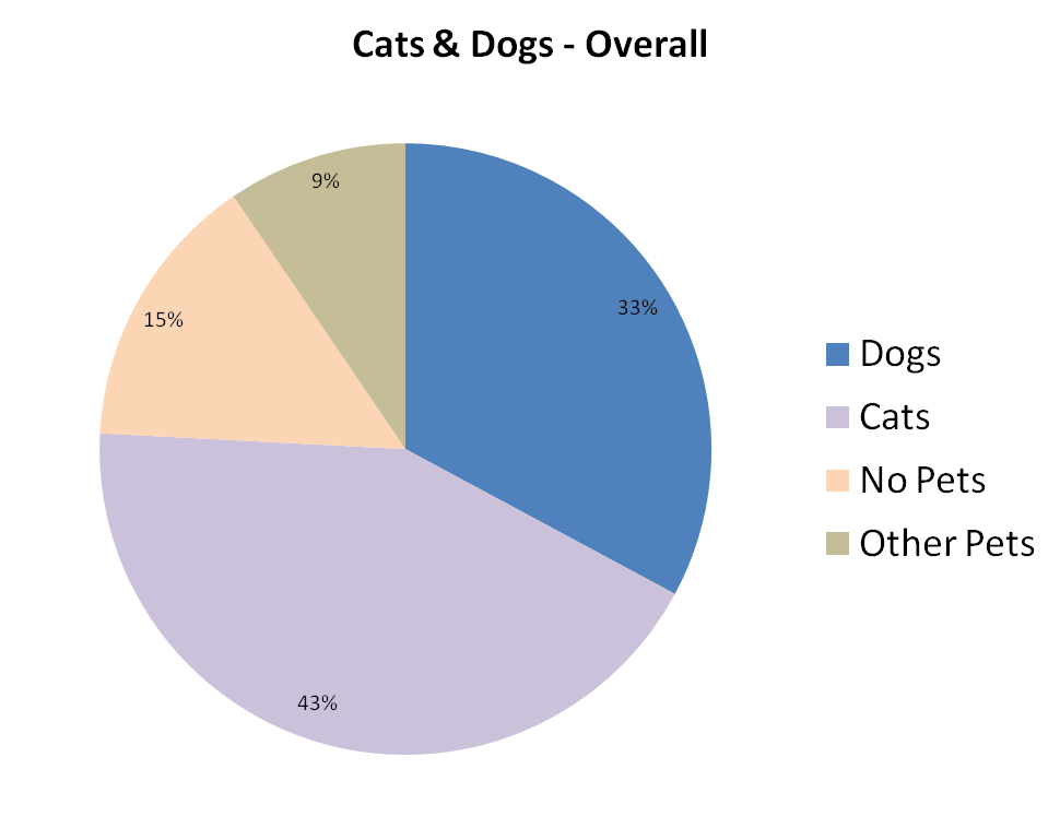 New Hurray The Cats & Dogs and Library Staff Survey! Stephen's Lighthouse