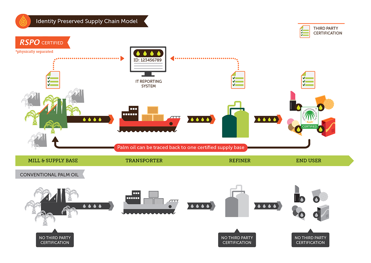 Knowledge Corner Everything you need to know about sustainable palm