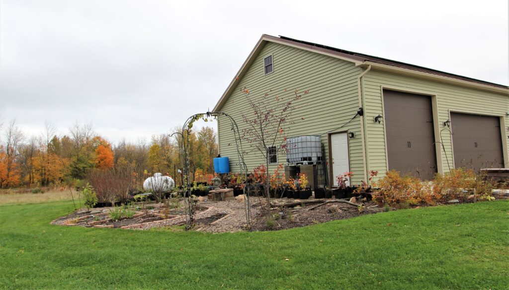 CW Native Plant Farm Step Out Buffalo