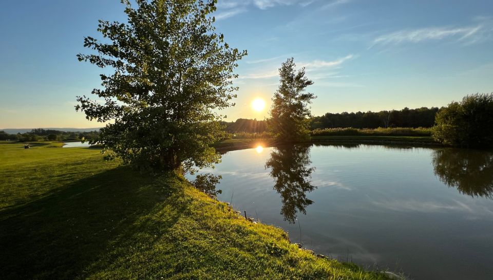Spruce Ridge Golf Course Step Out Buffalo