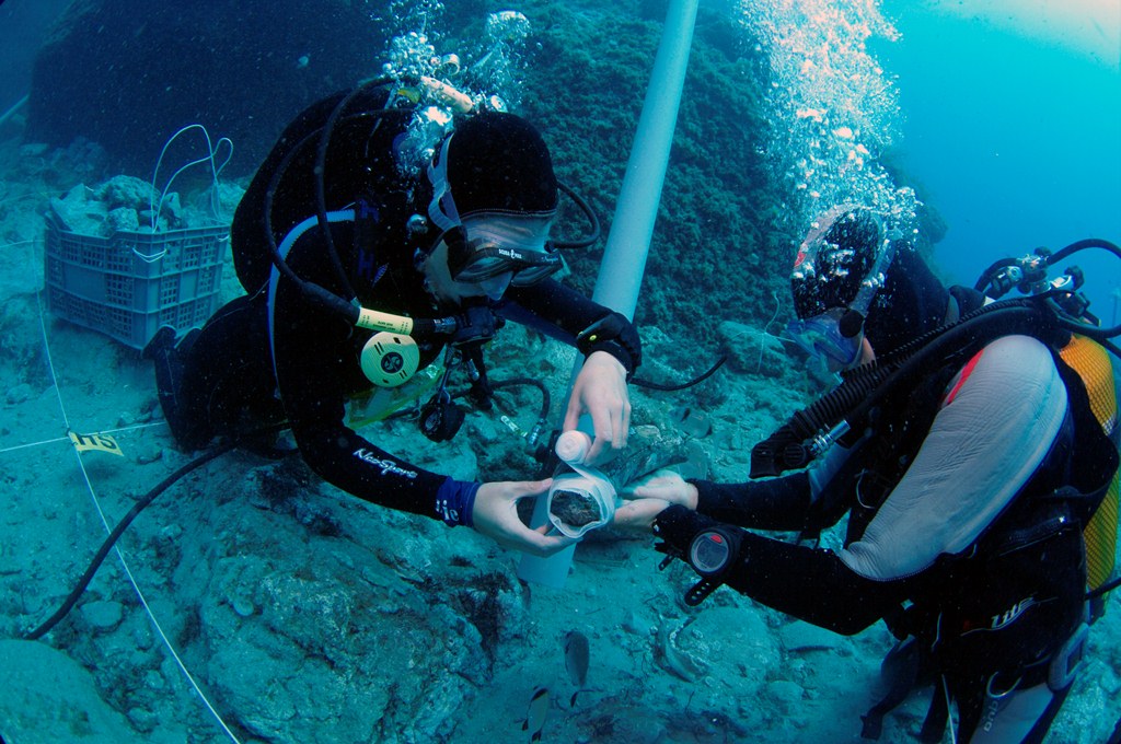 marine archaeology career in India Archives STEP UP STUDENT