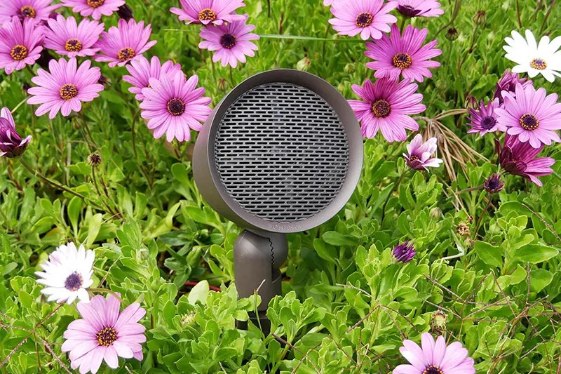 Summer Party? Get Awesome Ideas for Outdoor Speaker Installation