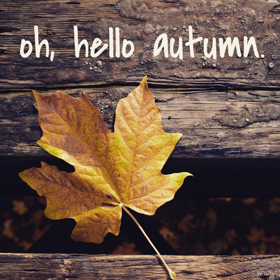 Ste. Rita, Manitoba Community site Committed to connecting