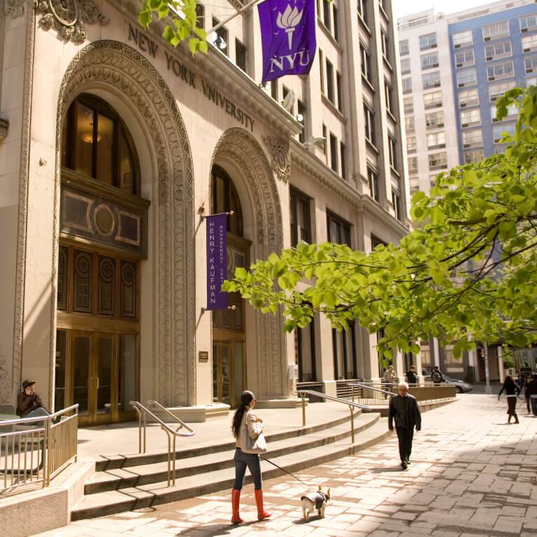 MBA Summer Courses in NYC Stern at NYUAD