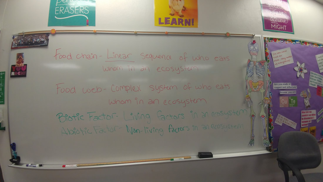 Unit 1 7TH GRADE SCIENCE