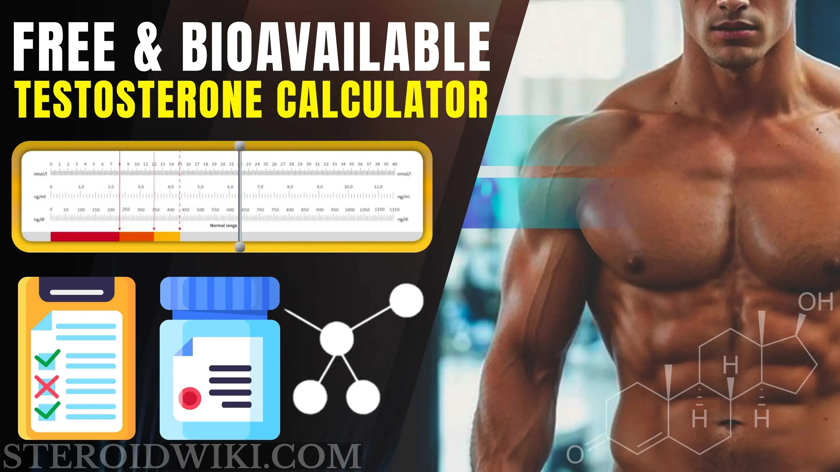 Free & Bioavailable Testosterone Calculator SteroidWiki