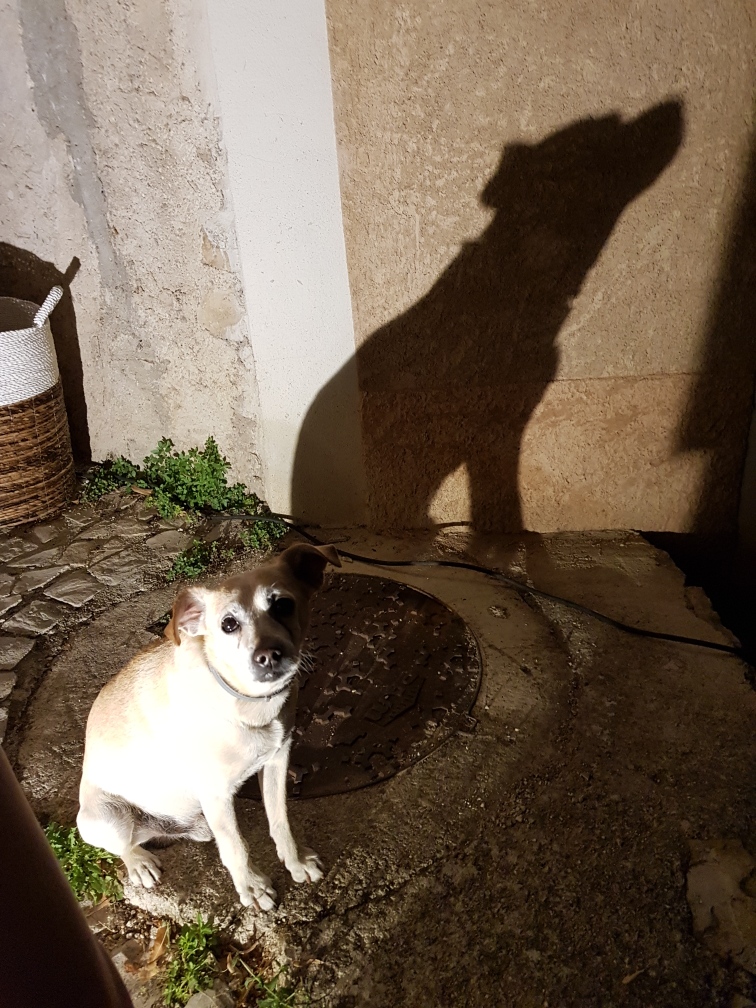 Histoire Sainte Euphémie sur Ouvèze, Site officiel de la commune