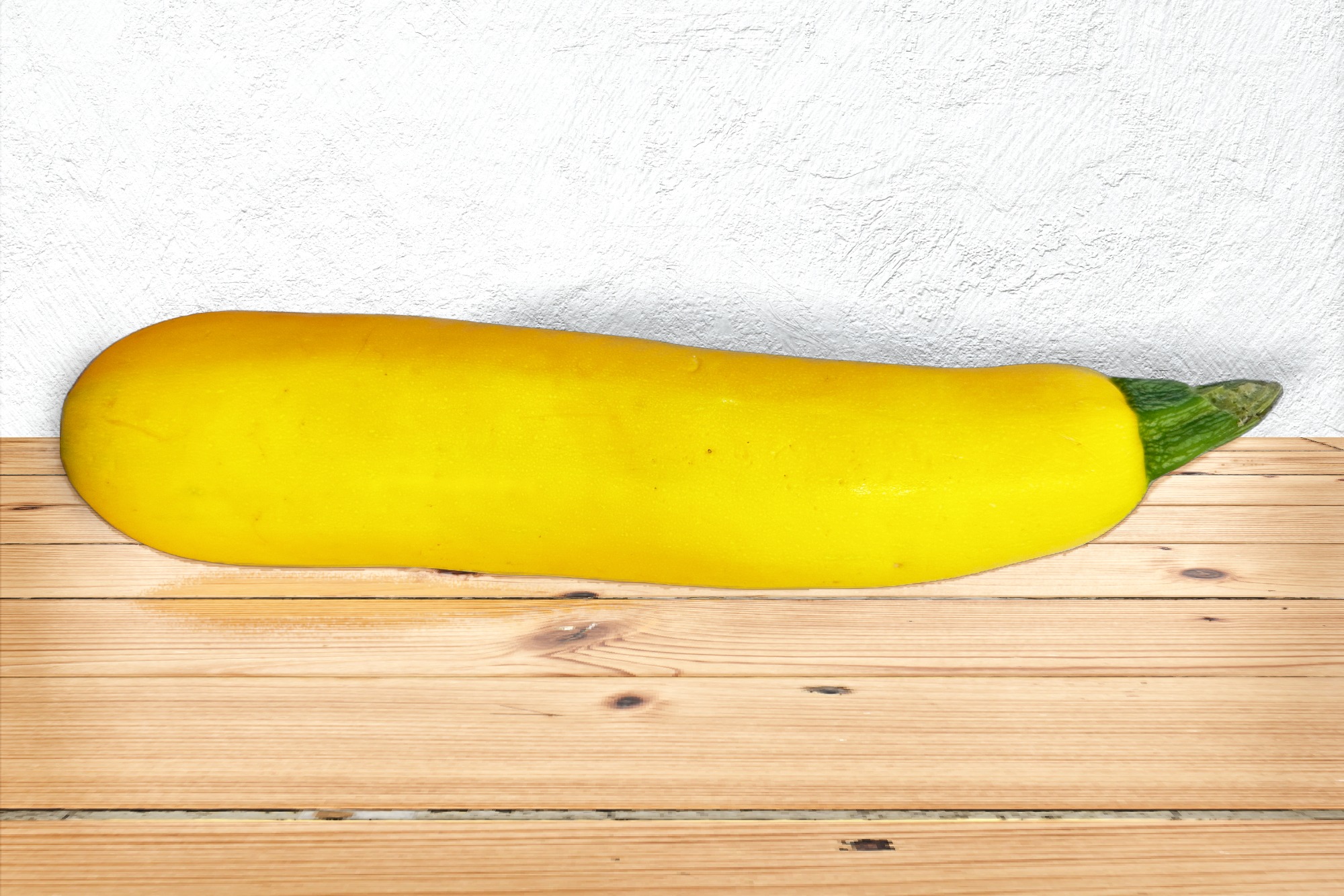 Large Yellow Zucchini Stevanus Family Farm