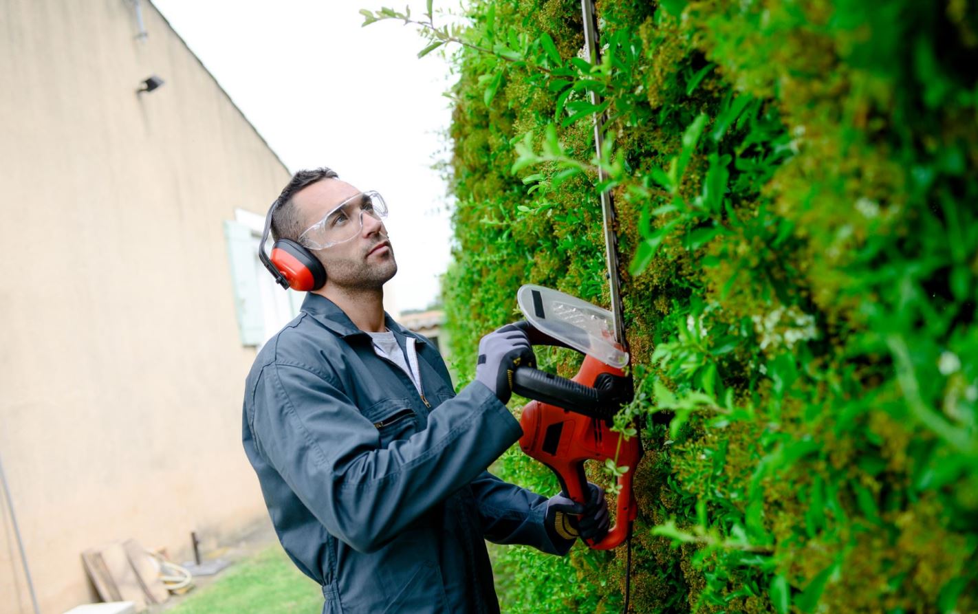 The Professional Tree Services in Hermitage, PA, 16148!