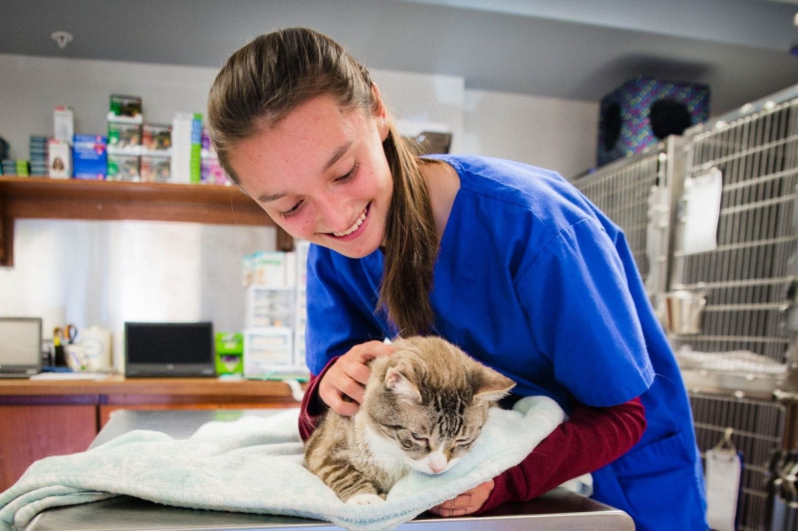 Tufts at Tech reallife experience for vet and high school students