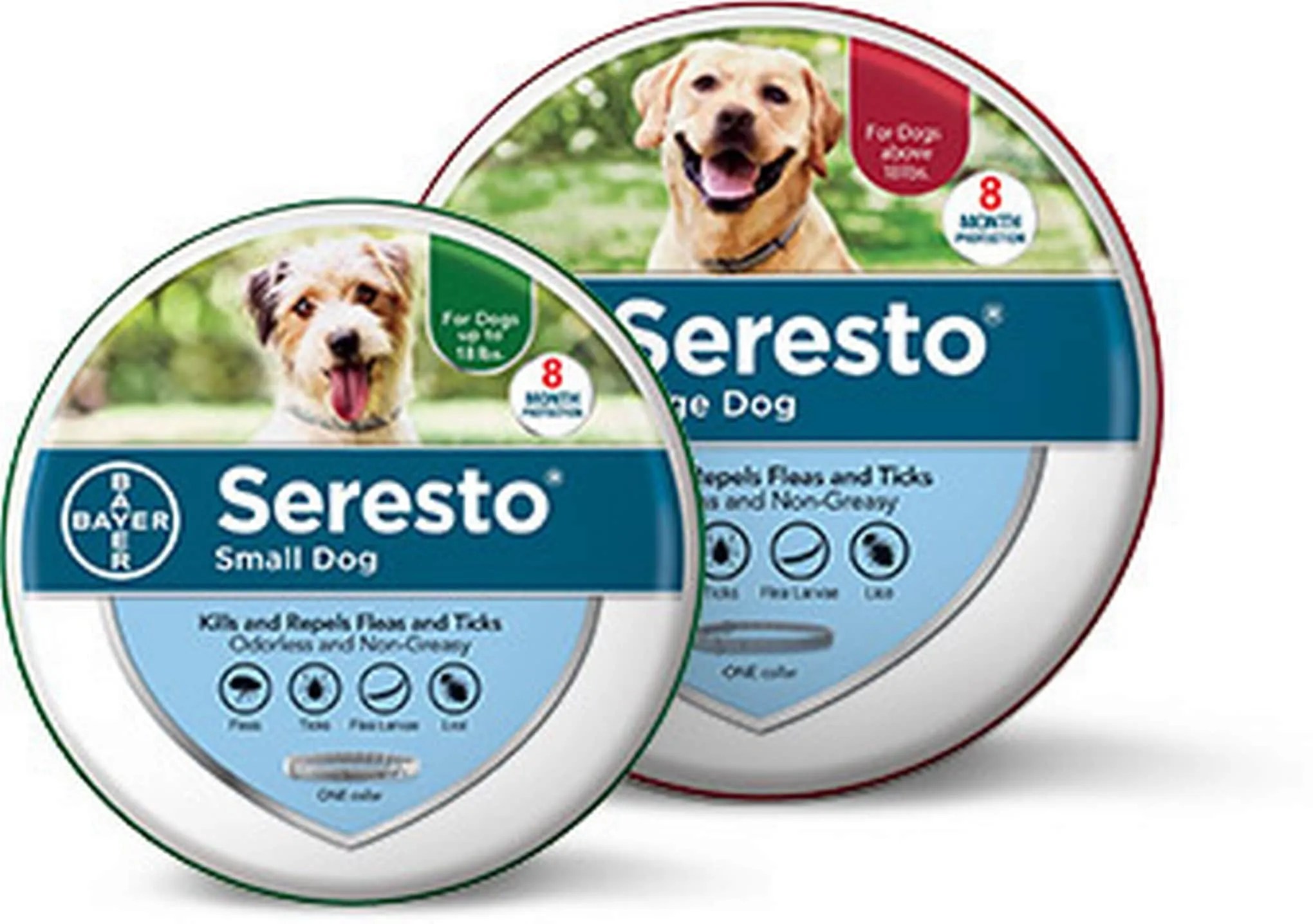 House Committee Says Seresto Should be Recalled