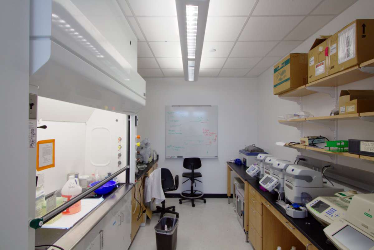 Laboratory Support Spaces ‹ Steve Hall Architecture
