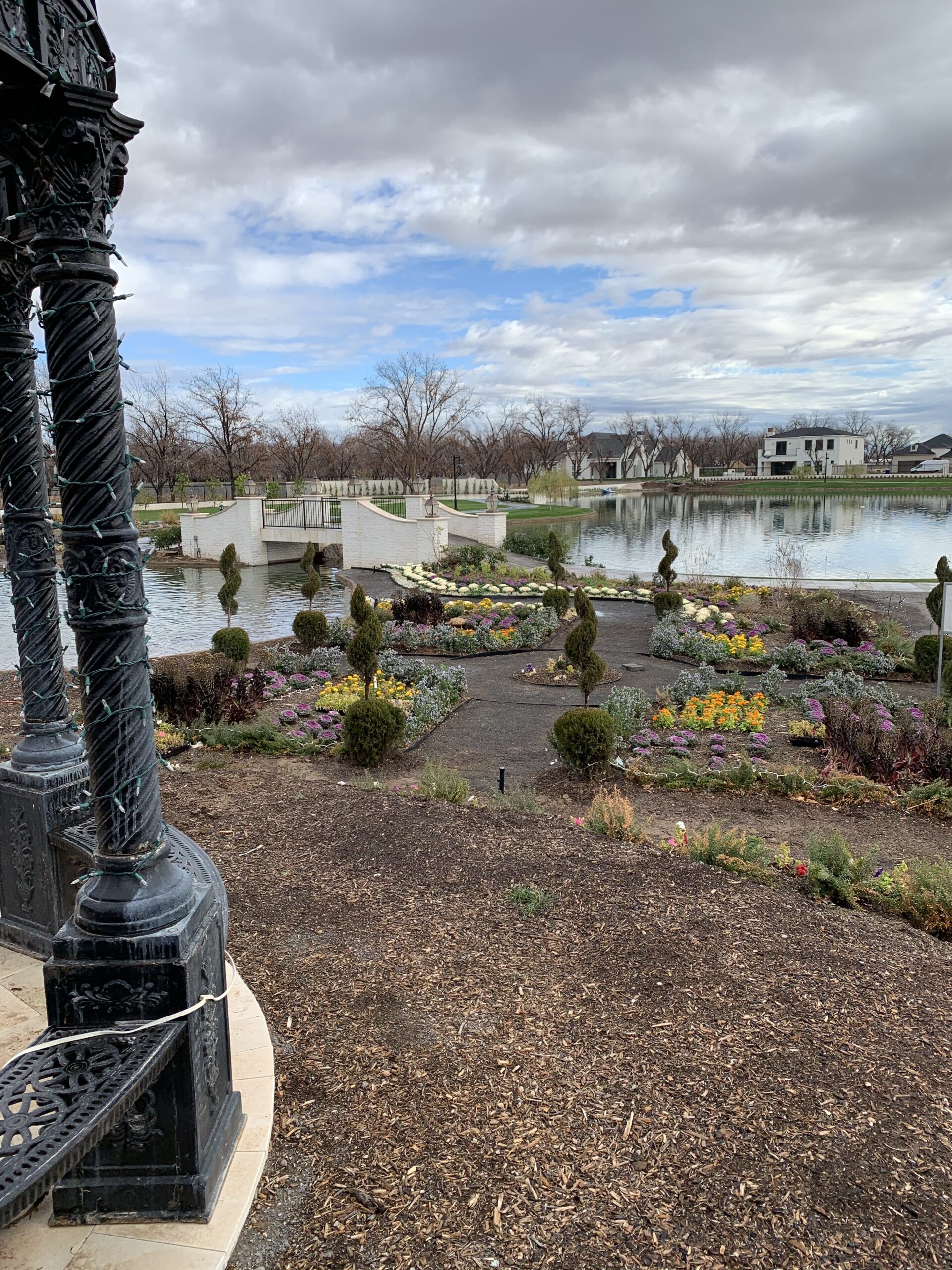 Steven W. Allen Memorial Pansy Garden at the Queen Creek Botanical Gardens