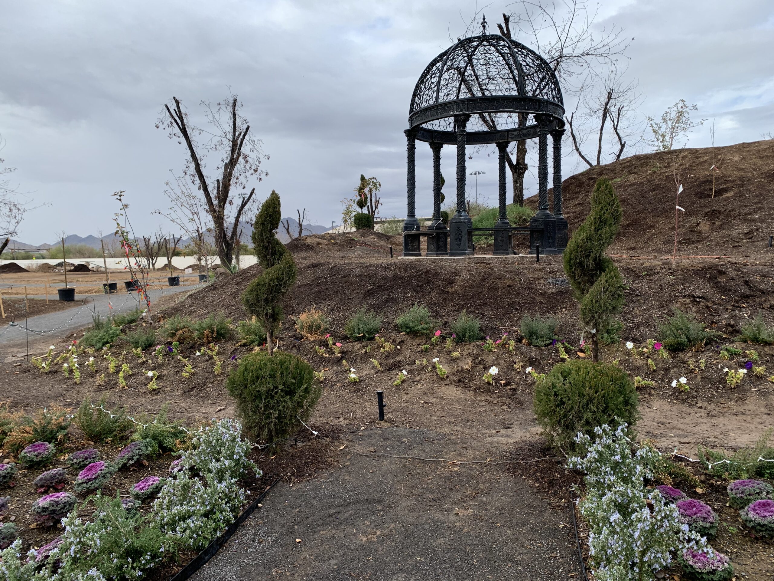Steven W. Allen Memorial Pansy Garden at the Queen Creek Botanical Gardens