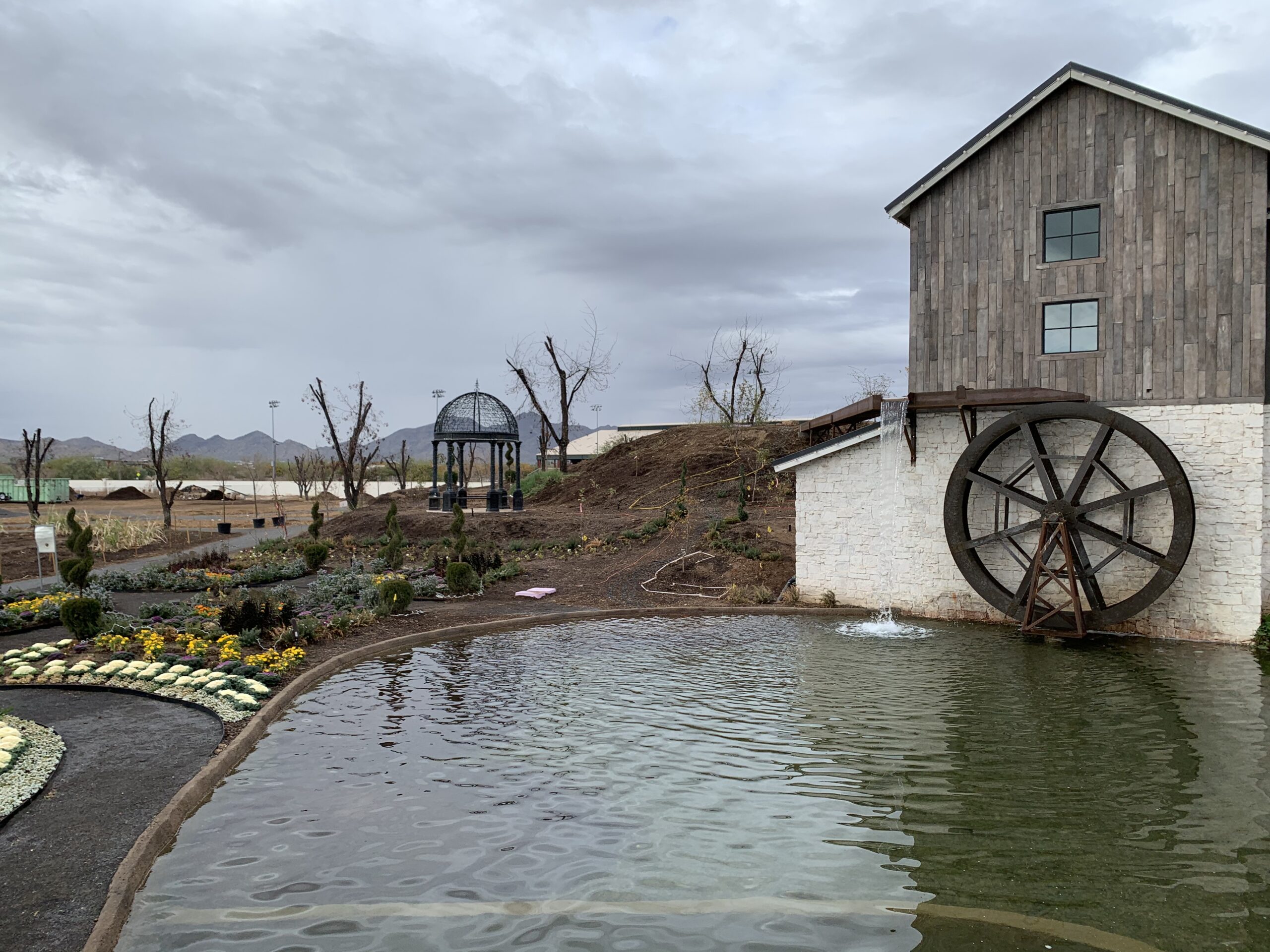 Steven W. Allen Memorial Pansy Garden at the Queen Creek Botanical Gardens