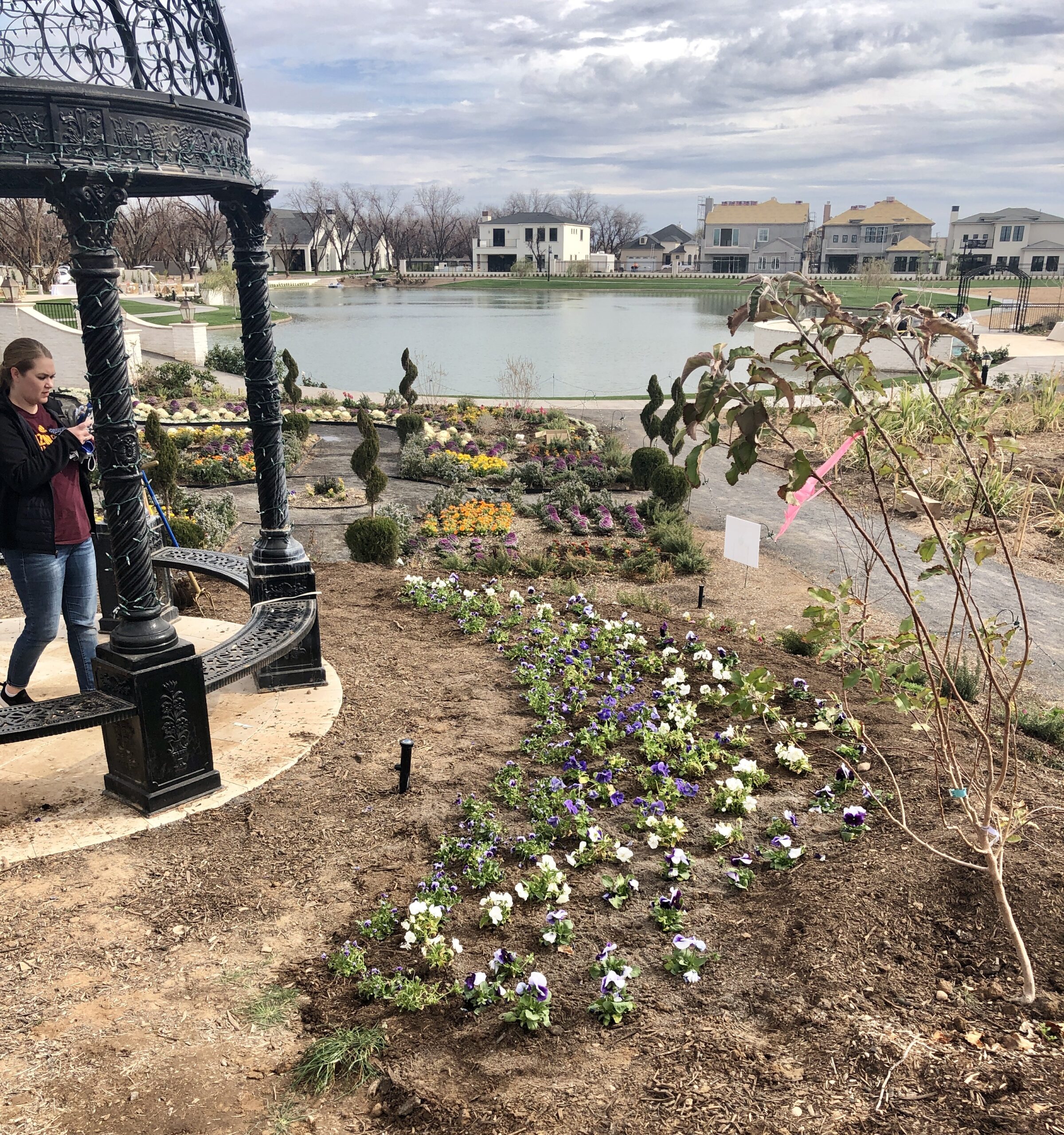 Steven W. Allen Memorial Pansy Garden at the Queen Creek Botanical Gardens