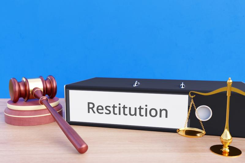 Punishment versus Restitution Article
