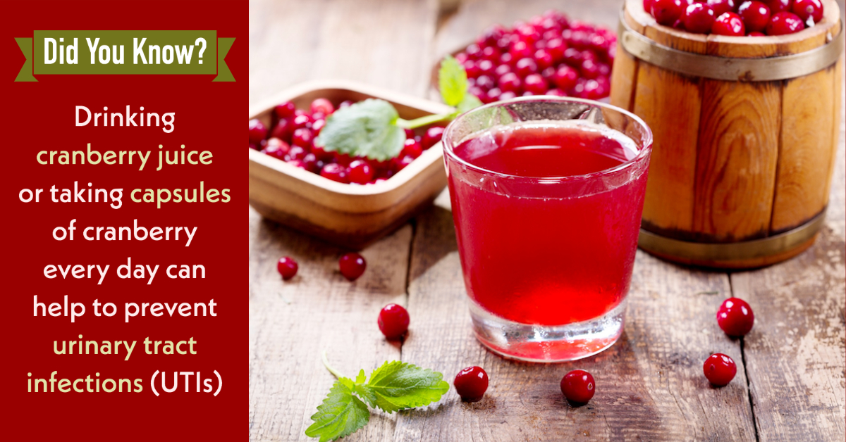 Cranberries A Native American Food and Medicine Article