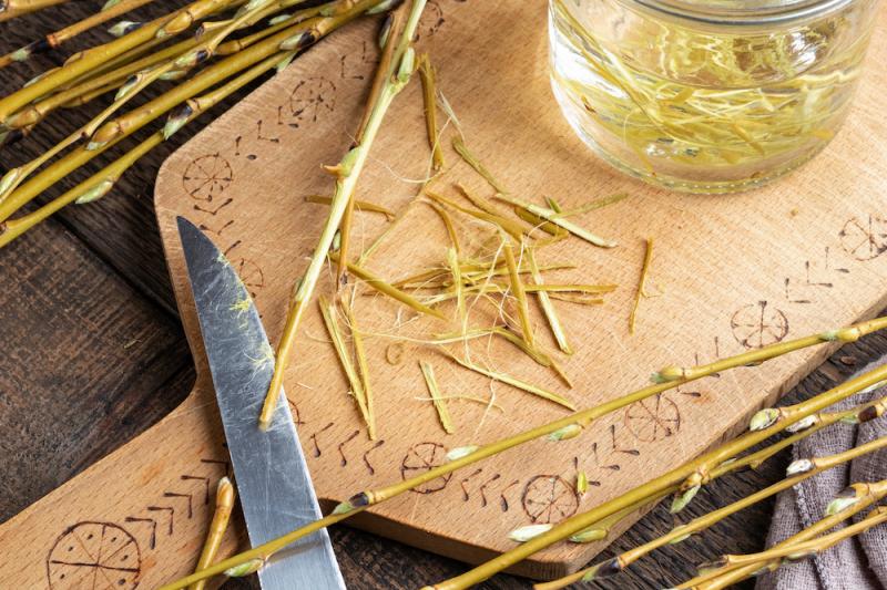 Willow Nature's Original Pain Reliever Article