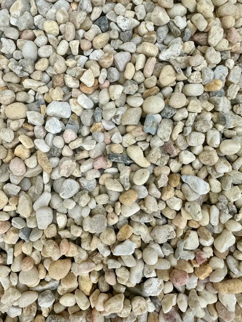 Stone Steven L. Foster