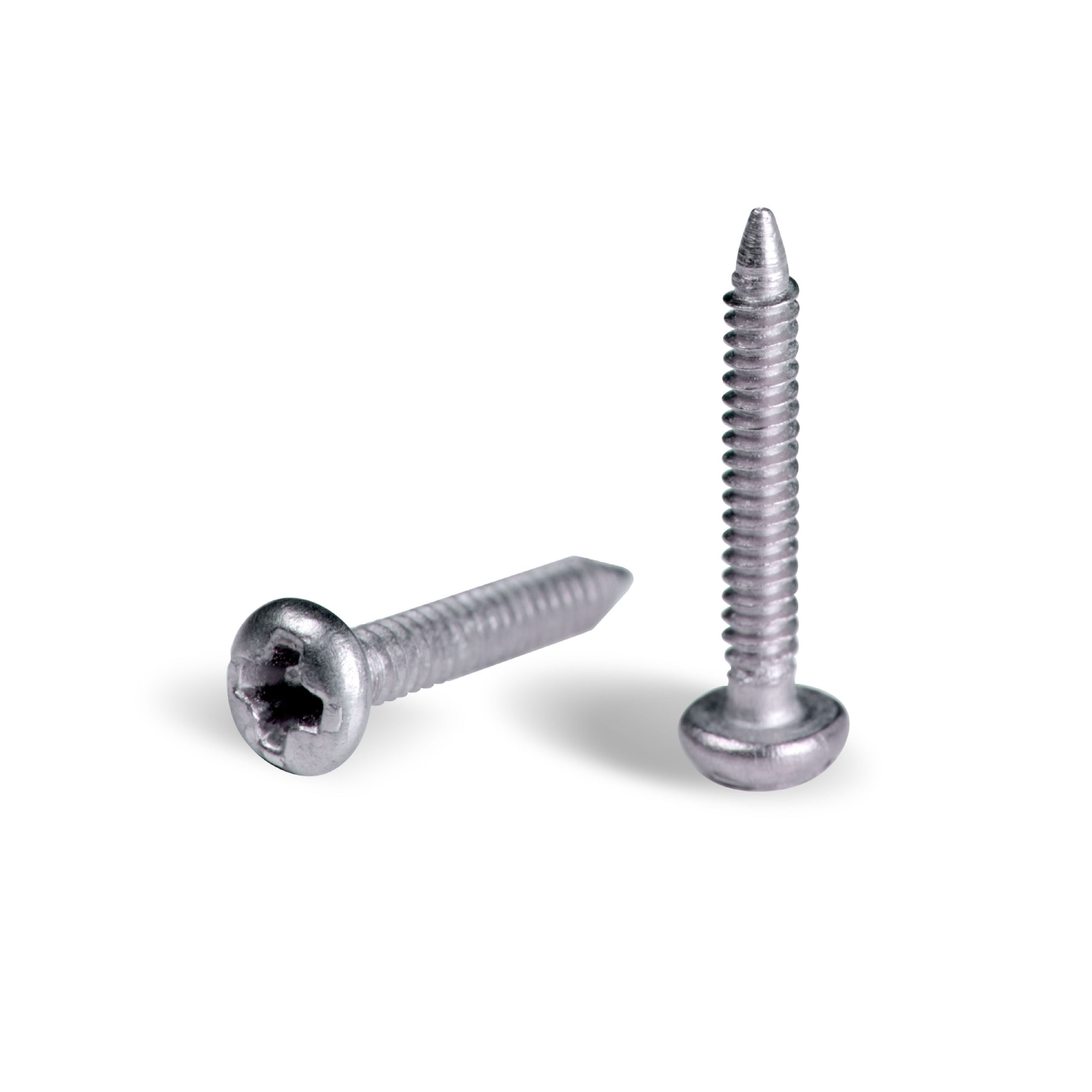 Kilgore Tooth Screw for Typodont Teeth Stevenson Dental Solutions