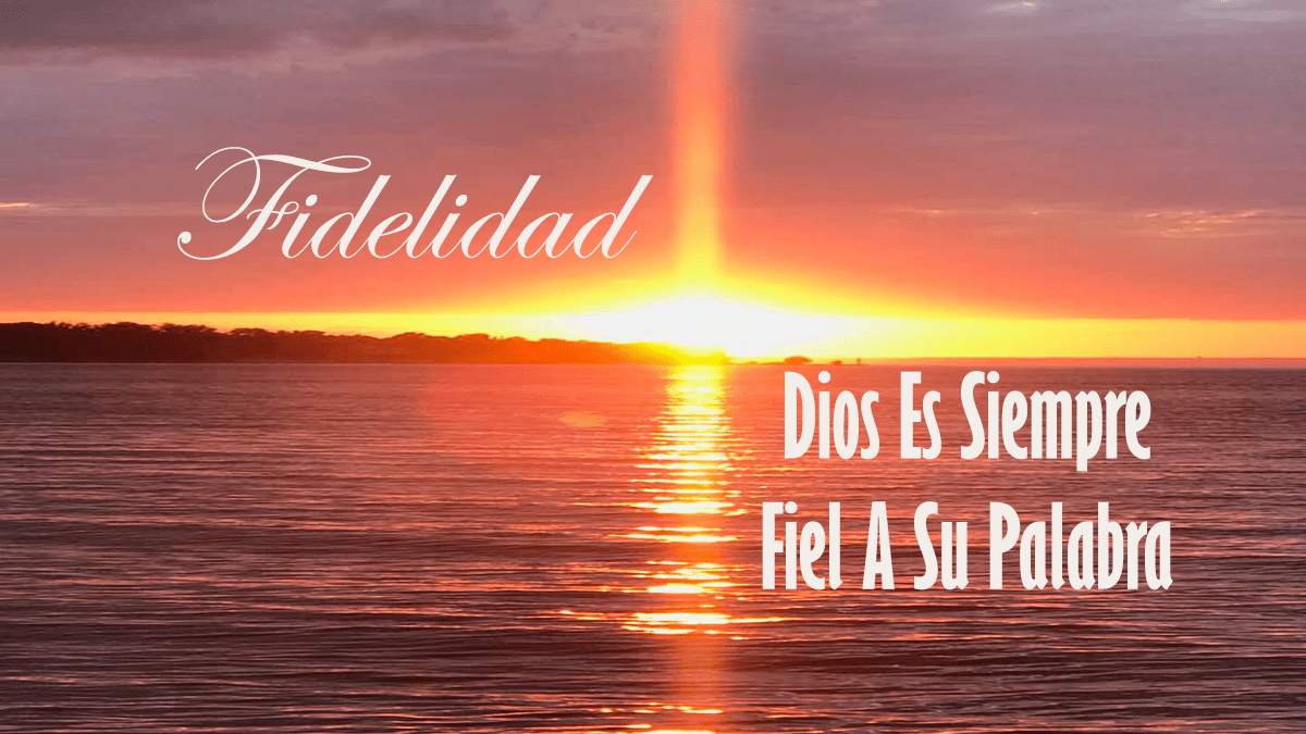 Fidelidad Dios Es siempre fiel a Su Palabra Steven Stoffelsen