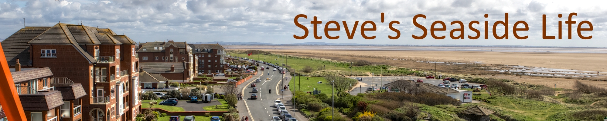 Steve Richards