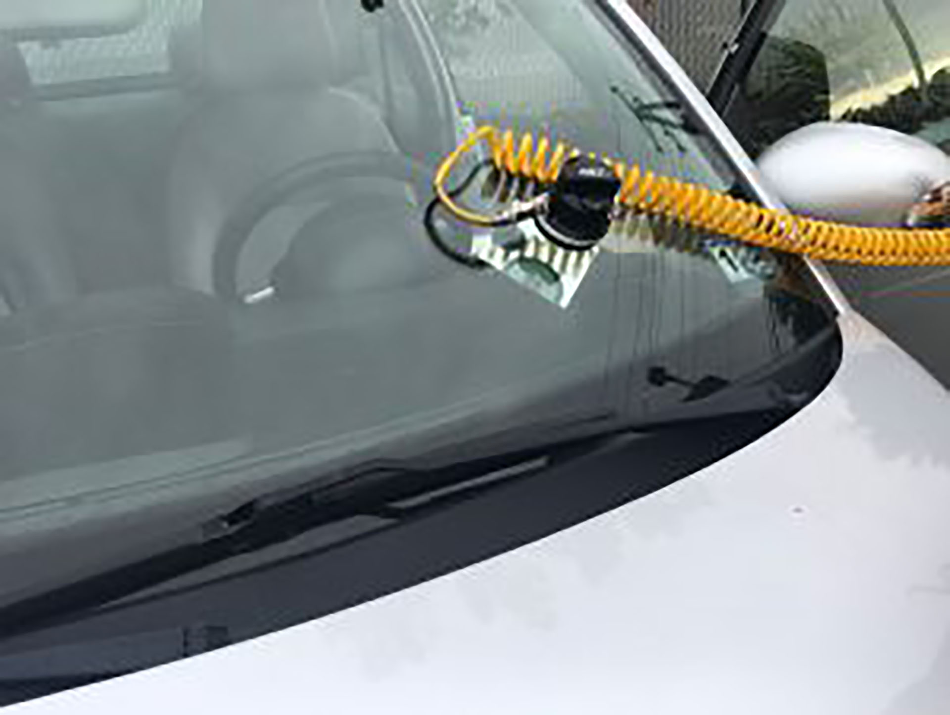 Can A Car Pass Inspection With Check Engine Light On Virginia Shelly