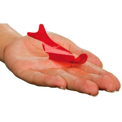 Fortune Telling Fish Steve Spangler