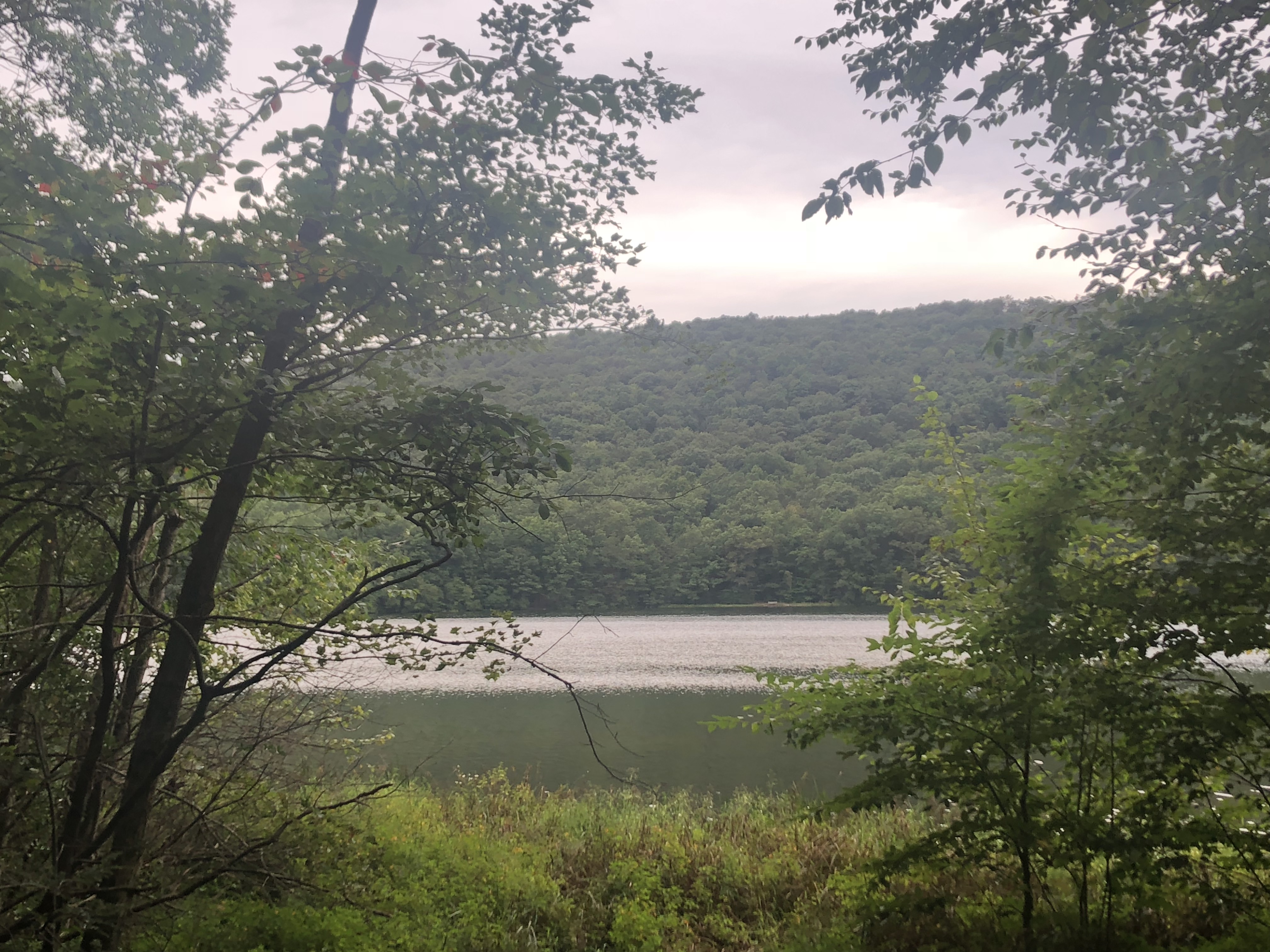 Jenkintown to Locust Lake Steve Spindler