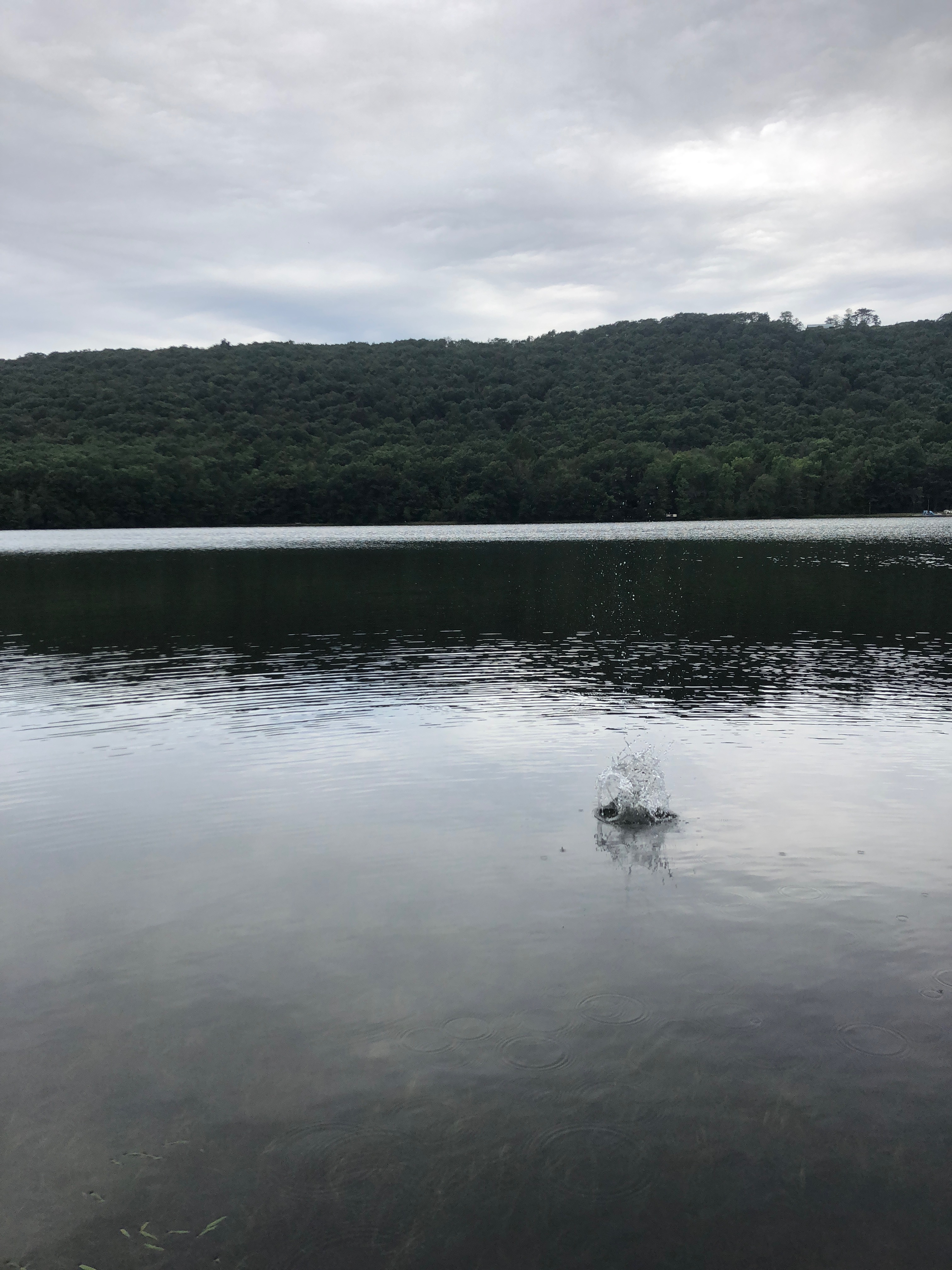 Jenkintown to Locust Lake Steve Spindler
