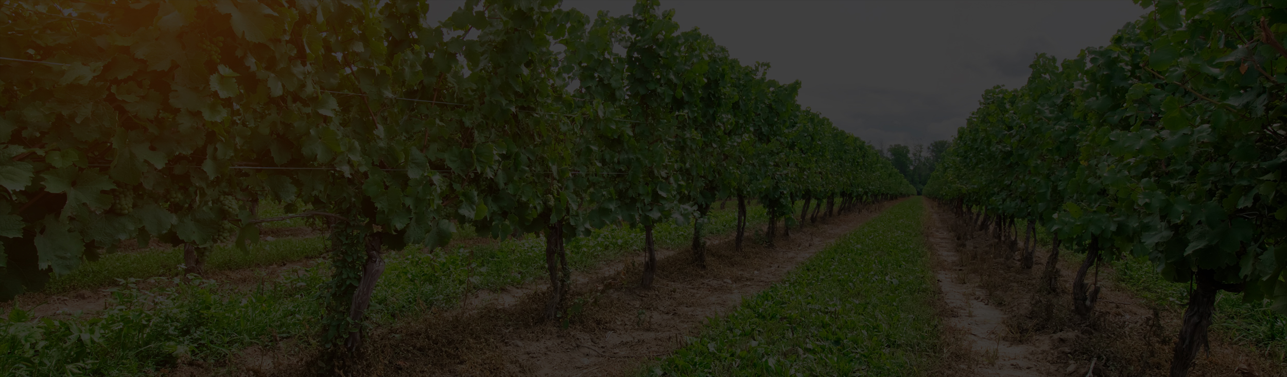 The Stewartstown Borough Official site Stewartstown, PA