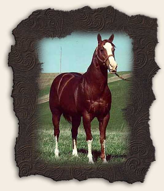 Steskal Quarter Horses Tiger Leo