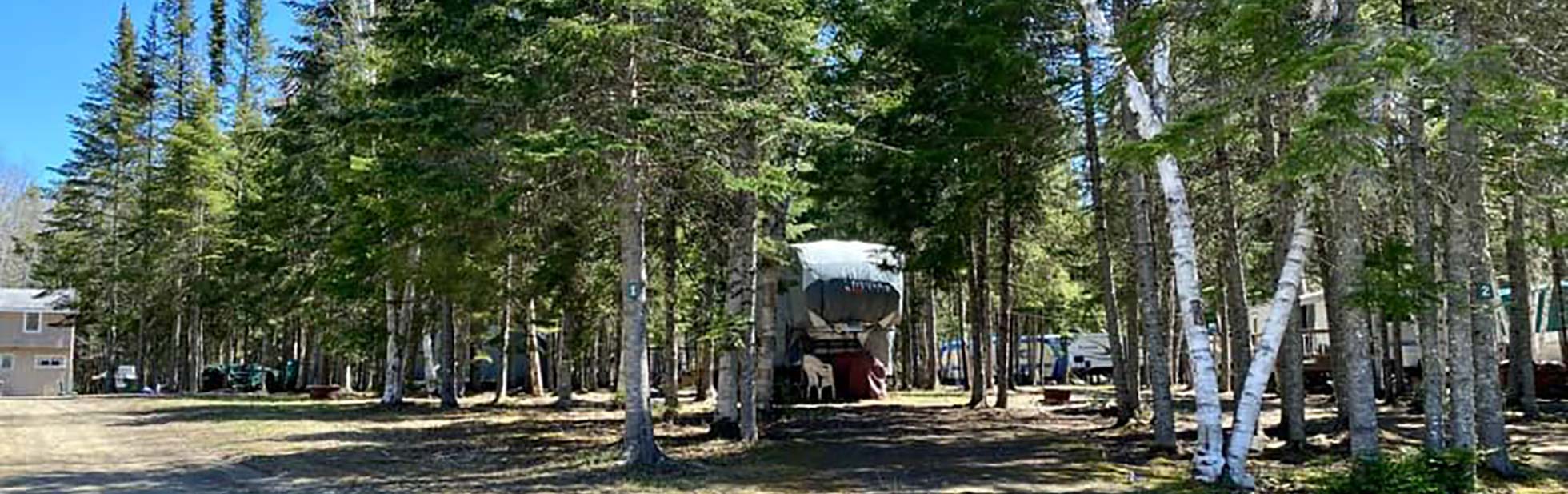 St. Froid Lake Camps & Campground Experience the Maine Wilderness