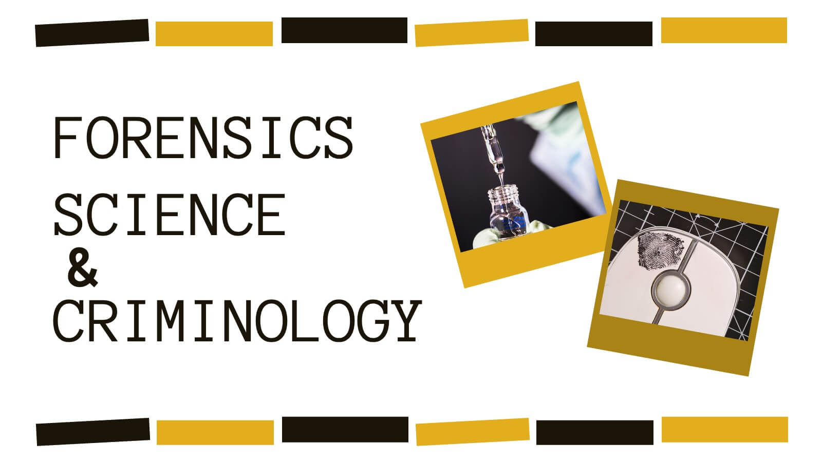 Legal Solutions Law Thesis Research Powerpoint Template and Google