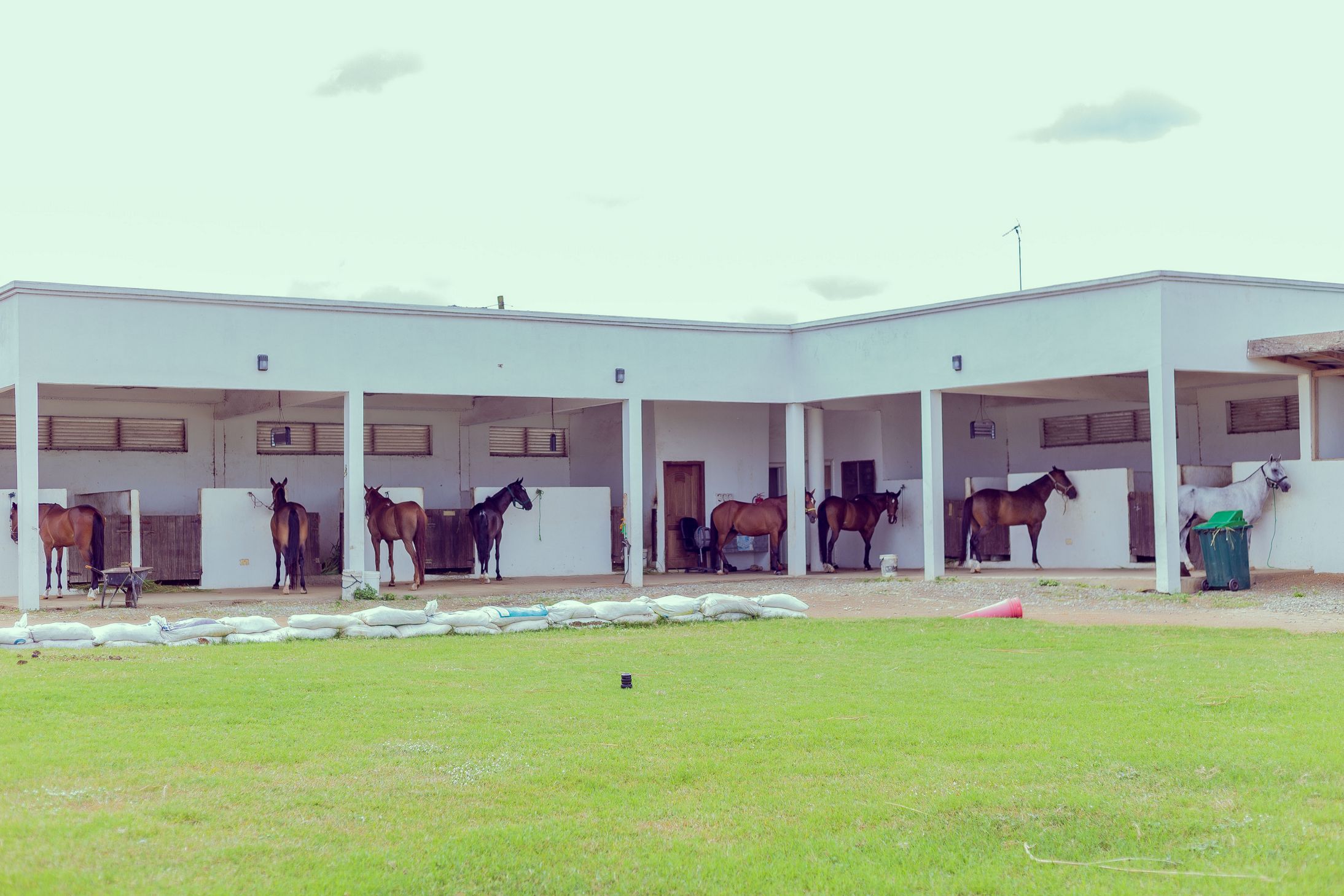 Equestrian Luxury Apartments & Equestrian in Ghana