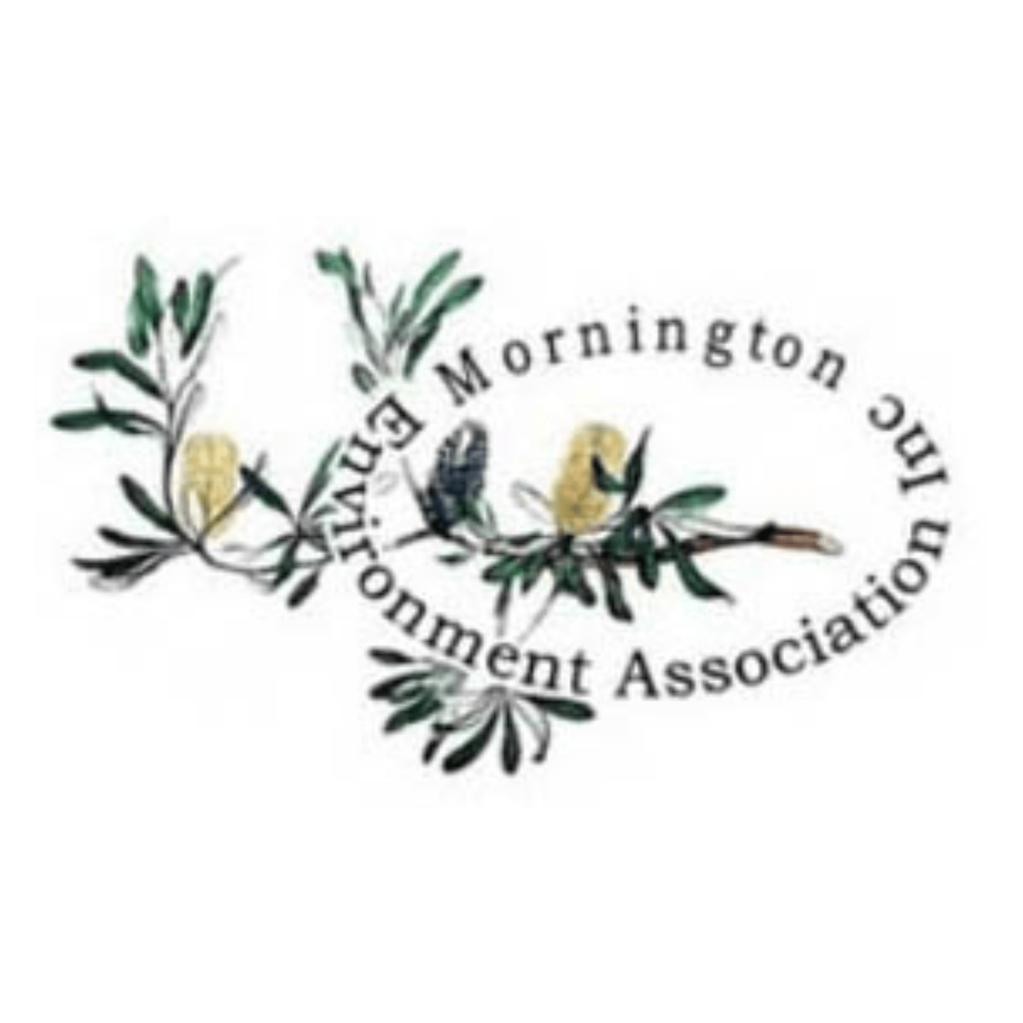 Stop the Great Wall of Frankston Protect Frankston's waterfront