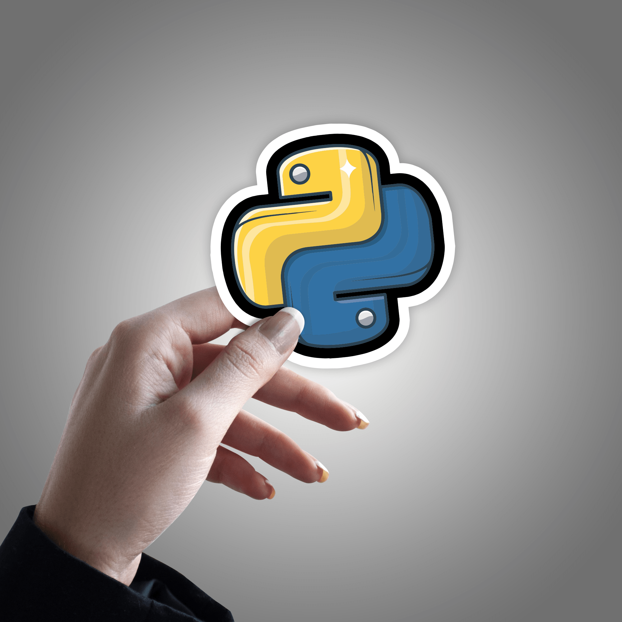 Python Programmer Sticker