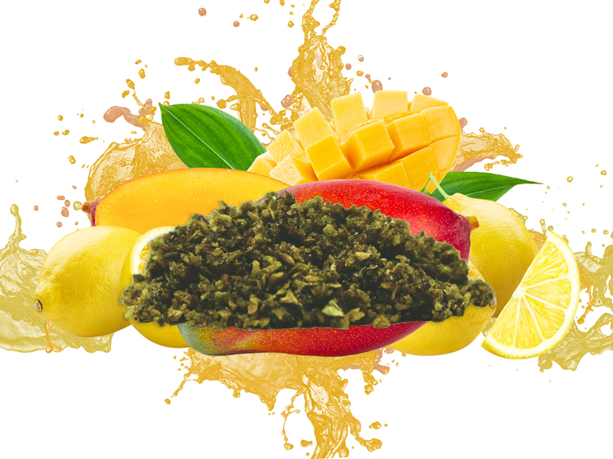 DAB BODS Stigma Grow